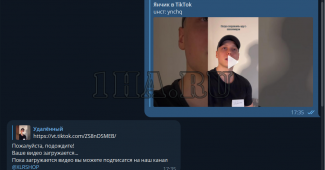 Скрипт telegram бота по скачиванию видео с TikTok