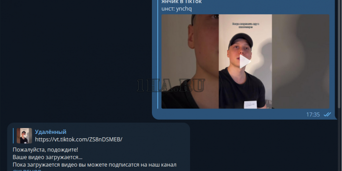 Скрипт telegram бота по скачиванию видео с TikTok