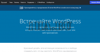 WordPress (wp)