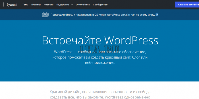 WordPress (wp)