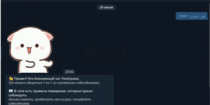 Скрипт Telegram бота - Анонимный чат