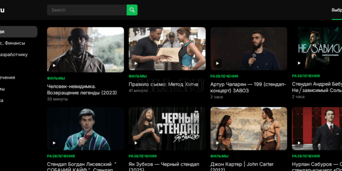 vidgo.ru