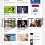 Автонаполняемый Женский журнал на WordPress